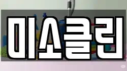 미소클린