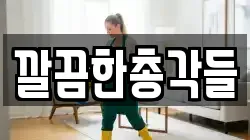 깔끔한총각들