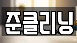 준클리닝
