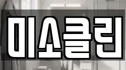 미소클린