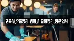 충북 제천시 모산동 청소,입주청소,사무실청소,에어컨청소,특수청소,상가청소,거주청소,유품정리
