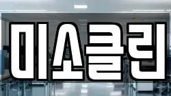 미소클린
