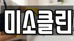 미소클린