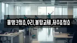 충북 제천시 자작동 청소,입주청소,사무실청소,에어컨청소,특수청소,상가청소,거주청소,유품정리