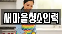새마을청소인력