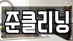 준클리닝
