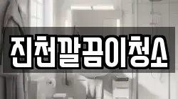 진천깔끔이청소