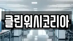 클린워시코리아