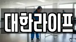 대한라이프
