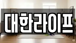 대한라이프