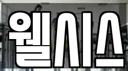 웰시스