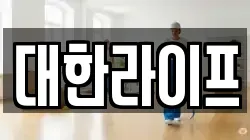 대한라이프