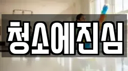 청소에진심