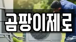 곰팡이제로