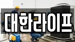 대한라이프