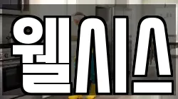웰시스