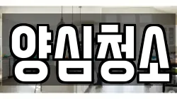 양심청소