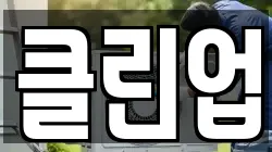 클린업
