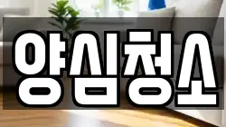 양심청소