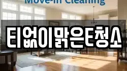 티없이맑은E청소