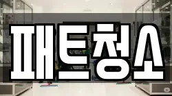 패트청소
