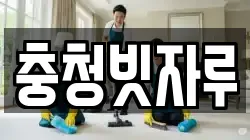 충청빗자루