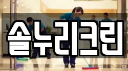솔누리크린
