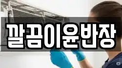 깔끔이윤반장