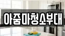 아줌마청소부대