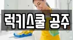 럭키스쿨 공주