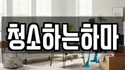 청소하는하마