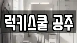 럭키스쿨 공주