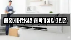 세종에어컨청소 세탁기청소 그린존
