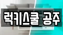 럭키스쿨 공주