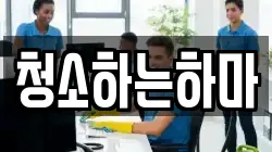 청소하는하마