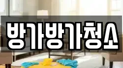 방가방가청소