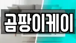 충청남도 공주시 중학동 청소,입주청소,사무실청소,에어컨청소,특수청소,상가청소,거주청소,유품정리