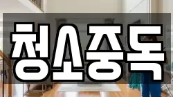 청소중독
