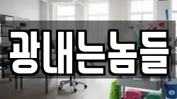 광내는놈들