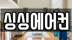 싱싱에어컨