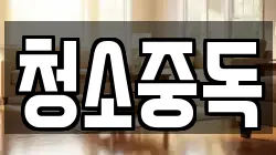 청소중독