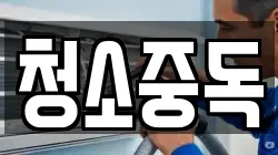 청소중독