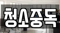 청소중독