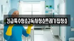 긴급특수청소고독사청소쓰레기집청소