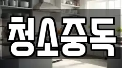 청소중독