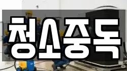 청소중독