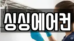 싱싱에어컨