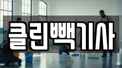 클린빽기사