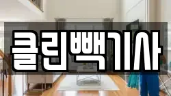 클린빽기사