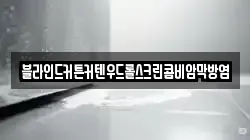 블라인드커튼커텐우드롤스크린콤비암막방염
